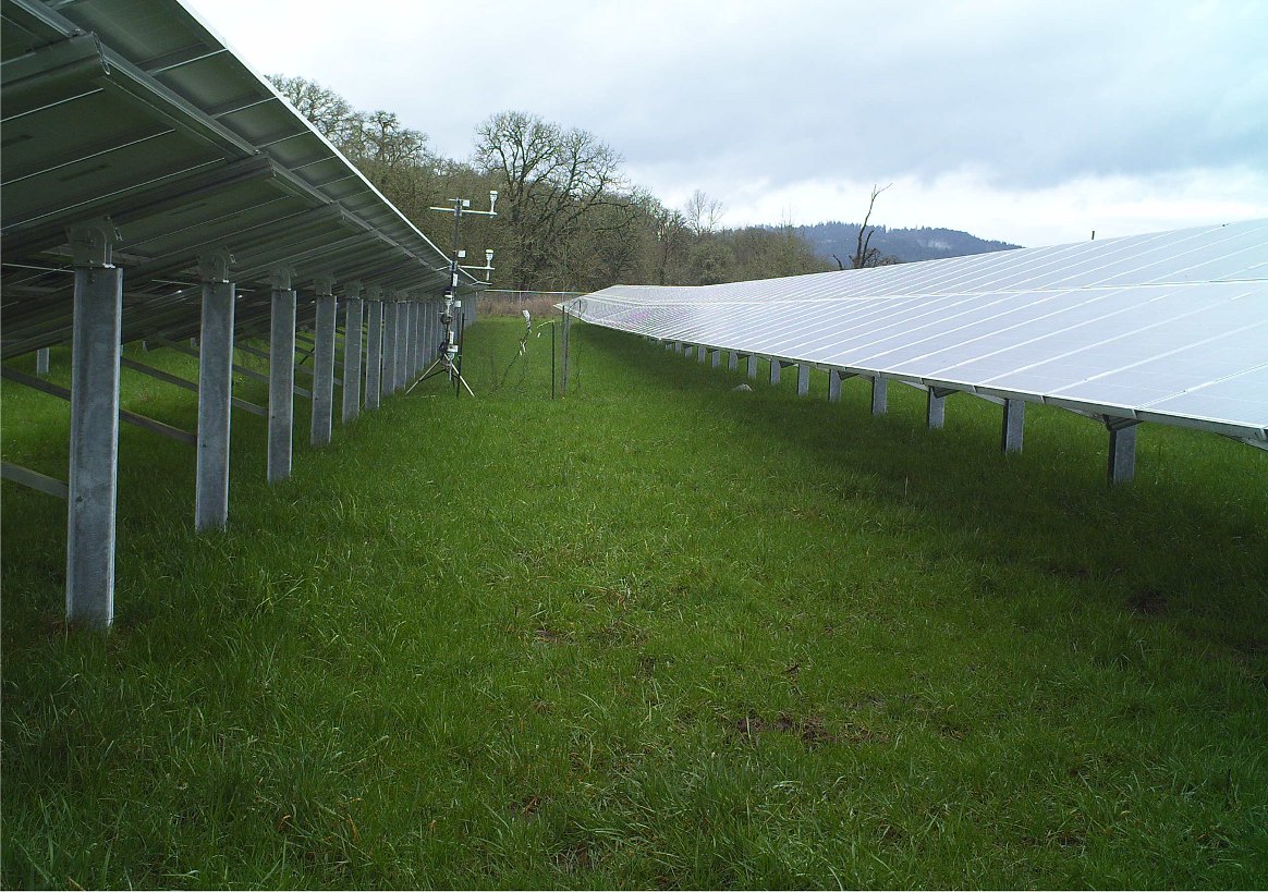 A grassy aisle runs between two long rows of solar panels mounted on steel posts, with a weather mast in the middle distance and oak trees and a hill beyond.